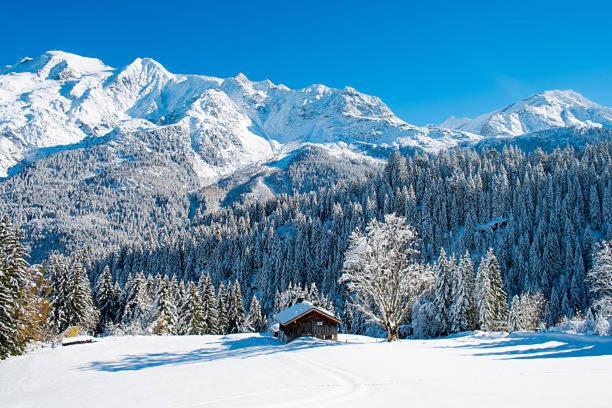 Happy Moose - Cosy Mont Blanc View Apartment Шамони Екстериор снимка